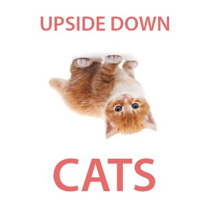 UPSIDEDOWNCATS