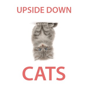USIDEDOWNCATS2